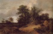 Jacob van Ruisdael Dune Landfscape France oil painting artist